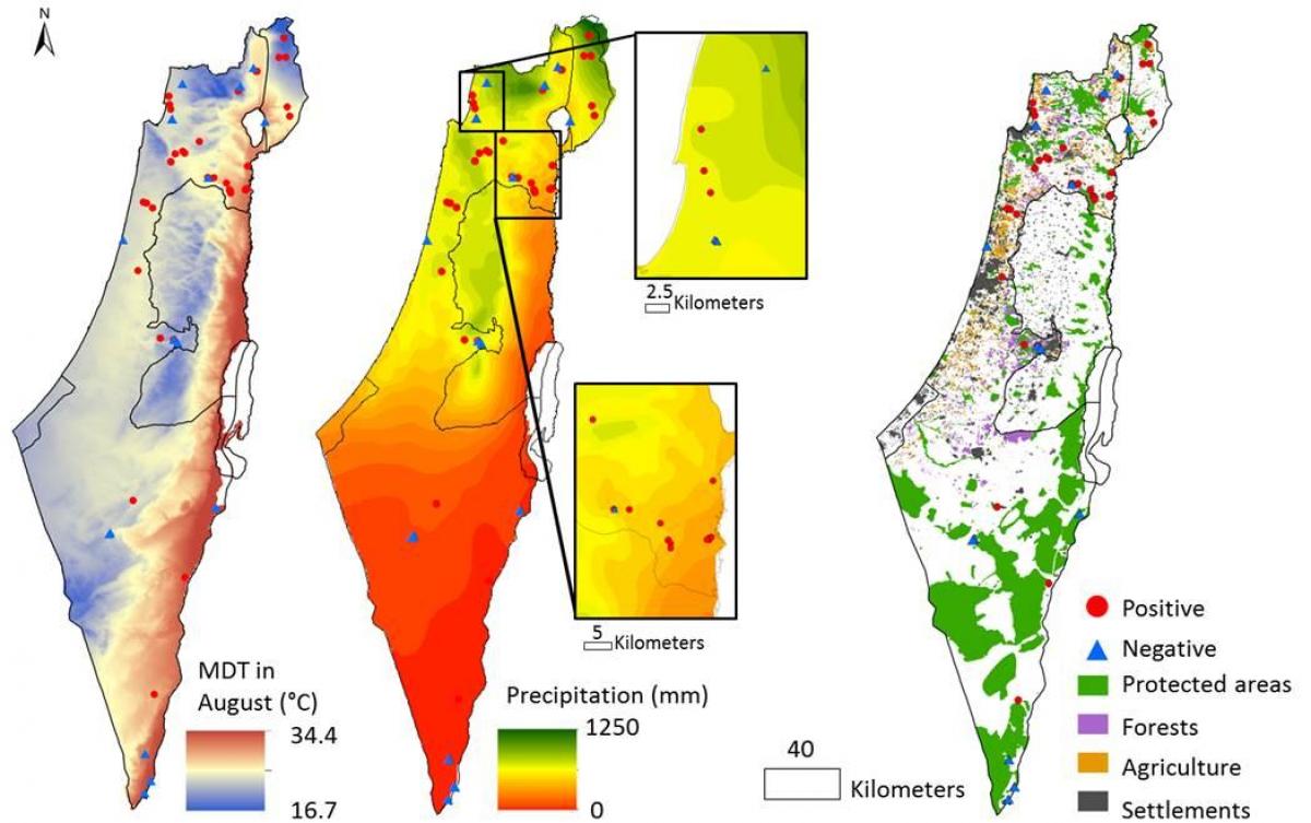 Karte von israel Klima